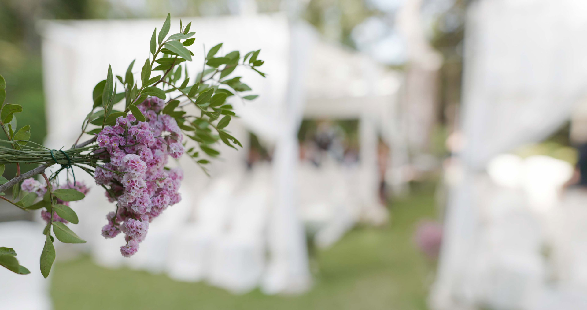 dettaglio di fiori dentro giardino dove si può sposare una coppia in calabria